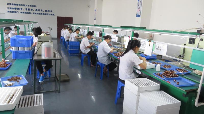 Verified China supplier - Dongguan Xinlv Electronics Co., Ltd.