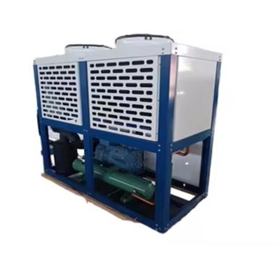 China New Air-Cooled Cooling Box Compressor Condensing Unit for Home Use & Restaurant Automatic Motor Pump Food Service Cold S for sale