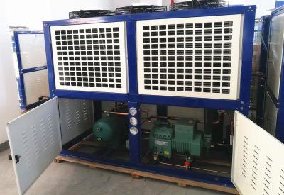 China Semi Closed Freezer Condenser Unit Anti Corrosion Galvanized Steel Casing for sale