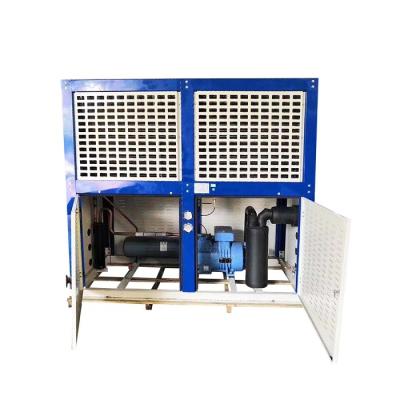 China Energy Saving Air Cooled Condensing Unit Large Volume Compact Structure for sale