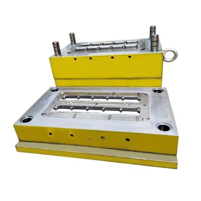 China Lighting Plastic Injection Mold Making Mold For PP PC ABS PE PMMA POM Nylon Injection Molding for sale