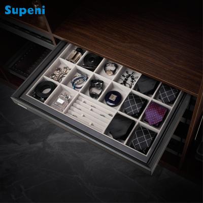 China Viable Hot Selling Multifunctional Wardrobe Accessories Storage Drawer Pull Out Jewelry Box for sale