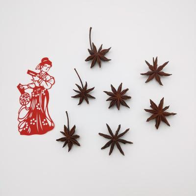 China Dried Wholesale place of origin spring star anise natural dried whole Dried organic spring Star Anise pods for sale