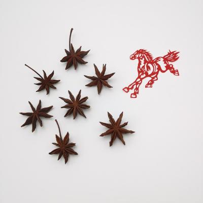 China Dried Wholesale Guangxi place of origin star anise High Quality natural dried whole Dried organic spring Star Anise pods for sale