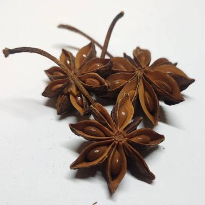 China Dried Wholesale Price  place of origin High Quality Single whole dried Star Anise by farmers for self-sale for sale