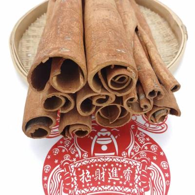 China Dried Wholesale place of origin cinnamon sticks natural dried whole dried organic cassia sticks cinnamon spice for sale