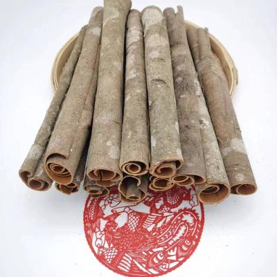 China Dried Wholesale Guangxi original  high Quality spies natural dried whole dried cassia stick cinnamon spice for sale