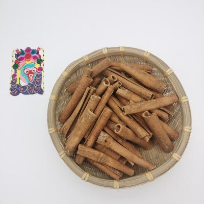 China Dried Wholesale Guangxi Cigarette cinnamon Organic Cinnamon natural Dried high quality Cigarette cassia Sticks cinnamon for sale