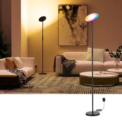 China CCT Adjustable Gold Modern Smart Home Lights Color Changing Floor Standing Lamp RGB LED Floor Lamp for sale