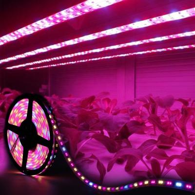 China Seed Starting LED To Grow Light Full Spectrum To Grow Light Strip 2835 Chip LED Phyto Lamp For Plants 730nm Far Red Led Grow Lights for sale