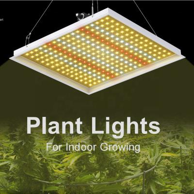 China Seed Starting Led Lights Full Spectrum For Plant Bar 1000W UV Indoor 600W Watt Plants Growing Samsung Cob Hydroponic Dimmable IR 8 Grow Light for sale