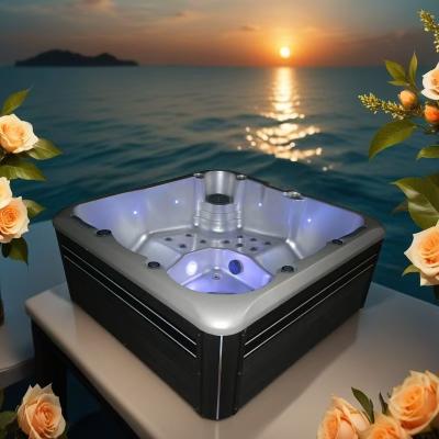 China CE/ETL/SAA Certified Spa Bathtub Swim Spa Pool For Hydrotherapy And Massage Function for sale