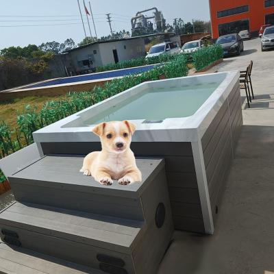 China Acrylic Doggy Pet Swimming Pool for Dog Water Playing for sale