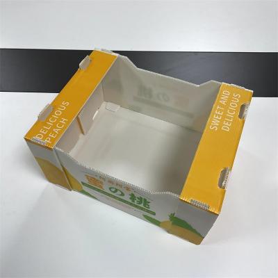 China Recycled Materials PP Plastic Storage Boxes Shockproof Corrugated Shipping Shipping Vegetable Box for sale