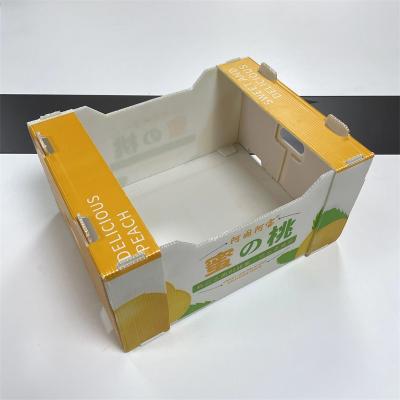 China Recycled Materials Large Fruit Fruit Customized Rigid Folding PP Corrugated Plastic Boxes For Agriculture Packaging for sale