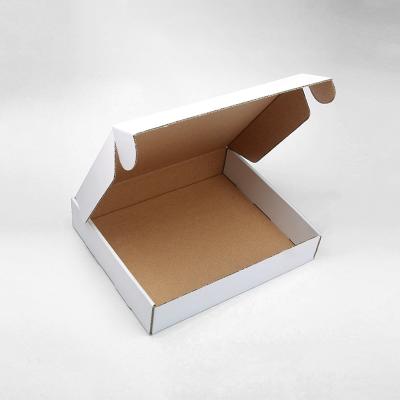 China Recyclable Logo Printed Standard Size Full Color Printing Fancy Pet Clothes Packaging Box for sale