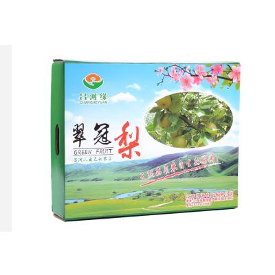 China Recyclable Dry Large Size Fruit Color Fruit Gift Box Food Beverage Fruit Packaging Person for sale