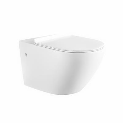 China Double-Flow New Style Chinese Bathroom Designs Factory Direct Sale Washdown Wall Hung Toilet Bowl for sale