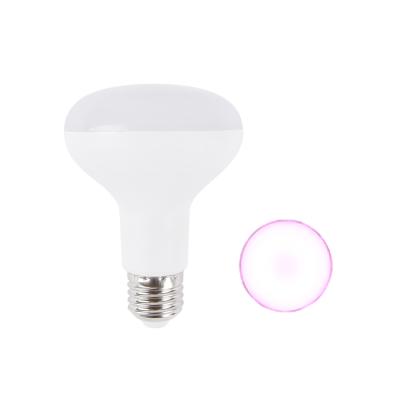 China Seed Seed Growing R80 11W Quantum Lamp Fixture Light Bulb E27 B22 Hydroponic Plant LED Grow Light for sale