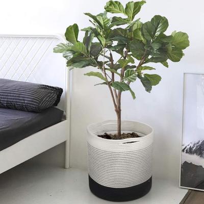 China Home Decor Cotton Rope Plant Basket Folding Woven Cotton Rope Basket With Handles for sale