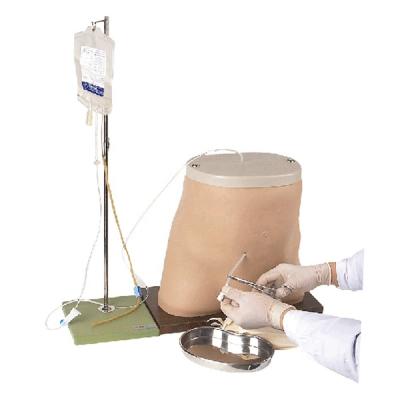 China Peritoneal Dialysis Model Simulation Training Teaching Medical Manikin for sale