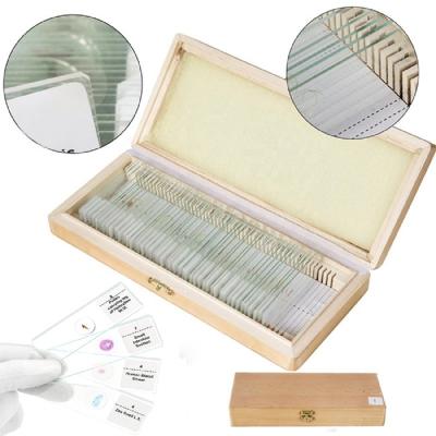 China Histology Teaching Patient Uderstanding Dental Prepared Slides With Specimen Microscope Slides for sale