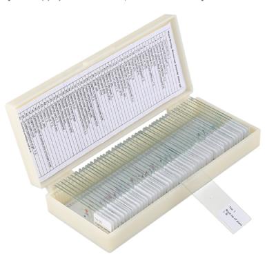 China Biology Teaching Algae And Fungi Patient Uderstanding Histology Microscope Plant Anatomical Prepared Slides for sale