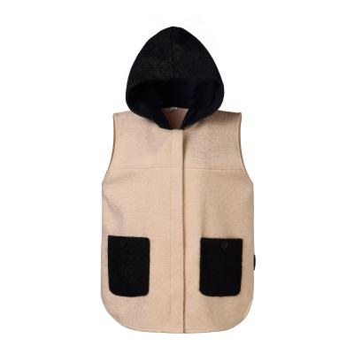 China New Workable Winter Autumn Ladies Coats Korean Style Cardigan Plush Warm Sleeveless Jackets Button Casual Vest Coldker Vest for sale