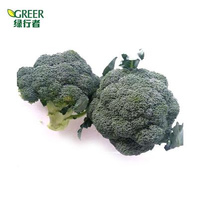 China Fresh Wholesale Original Chinese Fresh Broccoli for sale