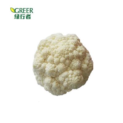 China Fresh quality cauliflower fresh white vegetables for sale