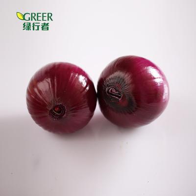 China Fresh hot sell fresh Chinese red onions for sale