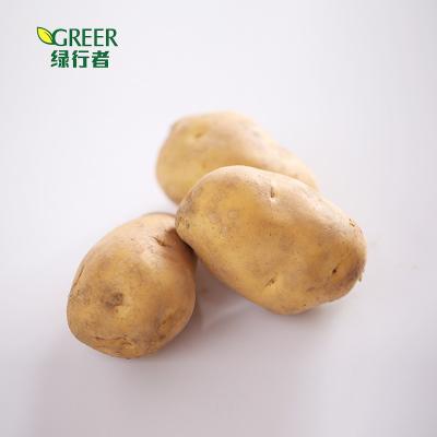 China Chinese fresh quality potato vegetable for sale