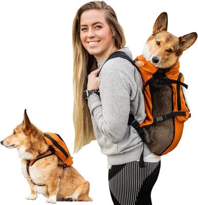 China 2022 New Dog Cat Carrying Bag Portable Dog Travel Viable Fashionable Dog Travel Backpack Carrier Size for sale