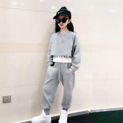 China Anti-pilling new children's clothing girls clothes set children's spring Autumn Leisure Sports Sweater two-piece equipment for sale