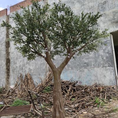 China Malls Large Artificial Olive Trees Artificial Olive Trees Olive Trees for sale