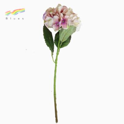 China Artificial Strap Hydrangea Preserved Hydrangea Flowers For Sale Home Wedding Decoration Wholesale for sale