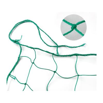 Κίνα botany gardening plants plastic mesh support net climbing trellis netting προς πώληση