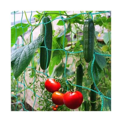 중국 Flower Gardening Plastic  Plant Climbing Net Mesh Support Net HDPE/Nylon 판매용