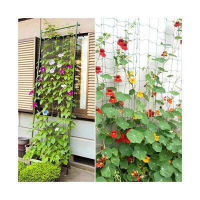 Κίνα Vegetable And Fruit Tomato Cucumber Flower Plant Climbing Net Gardening Plastic Mesh Support Net προς πώληση