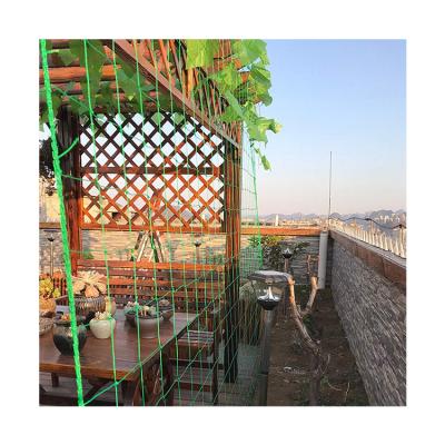 China Trellis Netting for Climbing Plants Heavy Duty Garden Trellis Netting for Cucumber, Vine, Fruits Vegetables Tomato Plants for sale