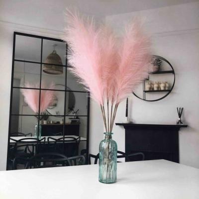 China Natural Touch Fresh Flower Artificial Flower Decoration Preserved Flowers and Plants Faux Pampas Grass for sale