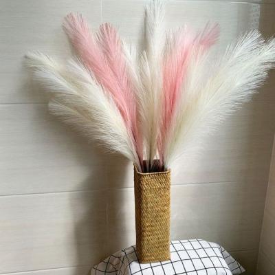 China Natural Touch Fashional Design Preserved Flower Reed Fluffy Dried Pampas Grass Natural Decor for sale