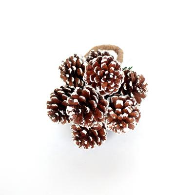 China Sprinkled With Snow New Style White Hot Sale Good Quality Christmas Tree Hanging Decorated Assembled Snow Pine Cone Christmas Pine Cones for sale