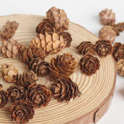 China Natural Mini Pine Cones New Year Christmas Decoration Thanksgiving Craft Decor for sale