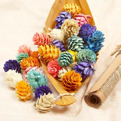 China Natural Mini Pine Cone Dried Ornaments Christmas Decoration Thanksgiving for Christmas Decor for sale