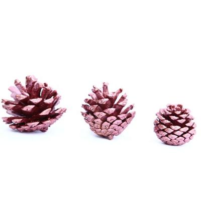 China Christmas Decoration Pine Picks Christmas Pine Red Pine Cones Christmas Stems Decor Bouquets For Garden for sale