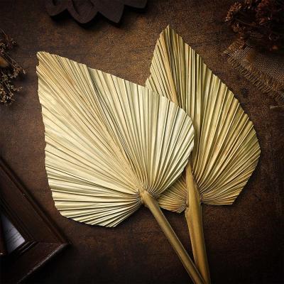 China Gift Amazon Hot Selling Decorative Preserved Dried Palm Leaves Fan Bouquet Wholesale For Wedding Home Decor for sale