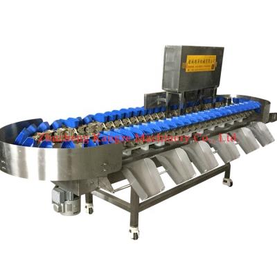 China food & Beverage Factory Weight Sorter For Frozen Fillets / Chicken Feet Grading Machine for sale