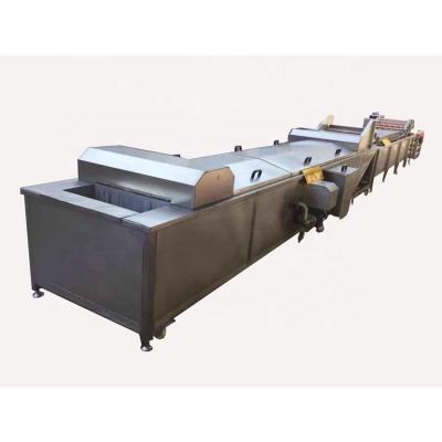 China food & Beverage Plant Food Processing Plant Leafy Vegetable Potato Chips Fruit And Vegetable Blanching Machine for sale