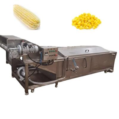 China food & Beverage factory maize machine grain blanching machine/maize/steam heated fruit and vegetable blanching machine for sale